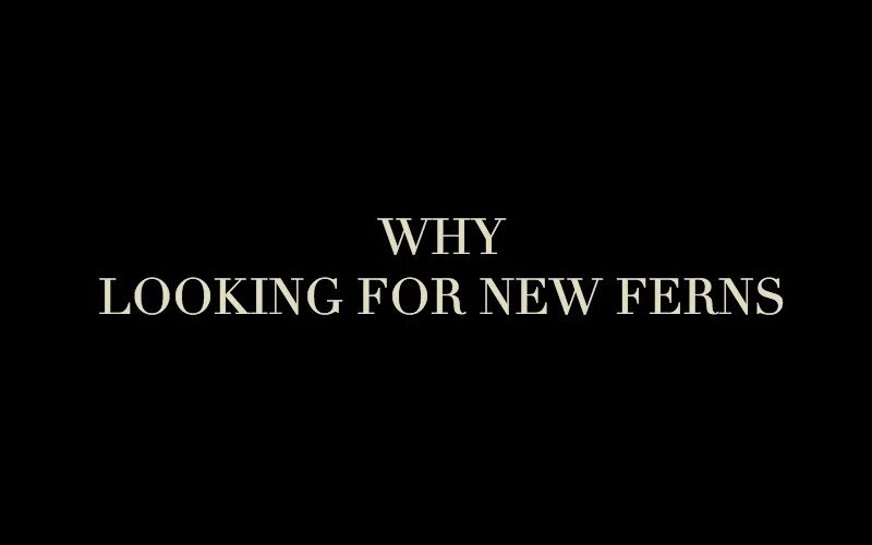 Why are you looking for