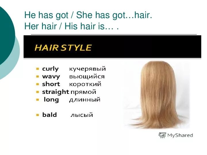 Тёмные волосы на английском языке. Spiky перевод. Fluffy hair перевод. Wavy hair перевод. Английском wavy.