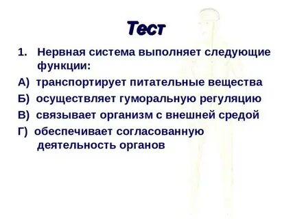 Нервная система выполняет следующие функции тест ответы