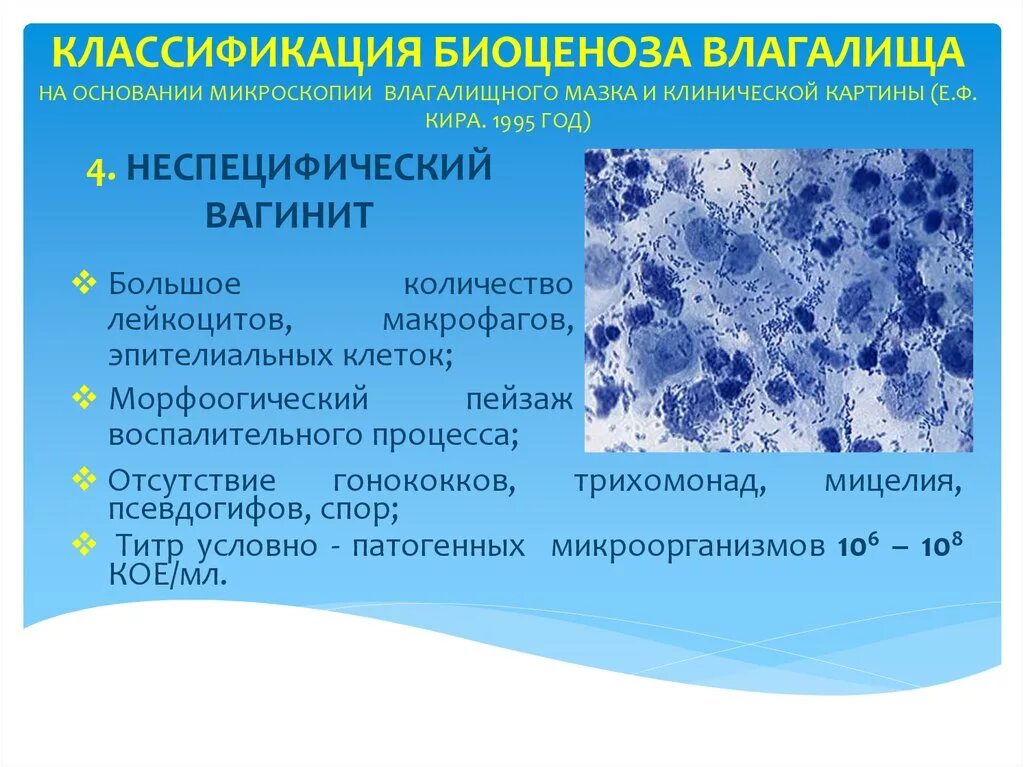 Тип цитологического влагалищного мазка. Степени чистоты влагалищной Флоры. Просежуточно клеточный Тип маска. Атрофический Тип мазка норма. Вагинит после 50