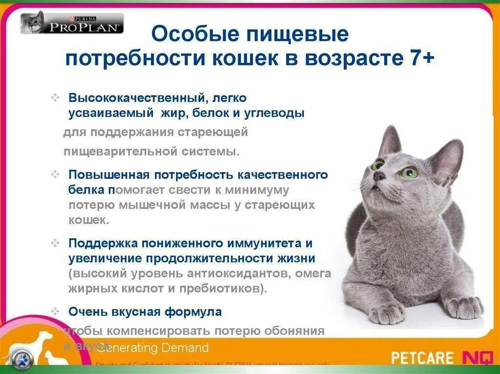 Кормить котенка детской смесью. График кормления котов. Режим кормления котов по времени. График кормления кошки. Потребность в белке для кошек.