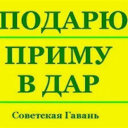 Приму домой
