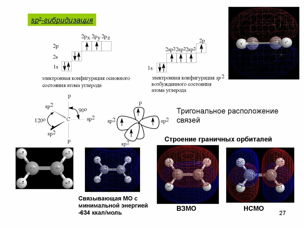 Состояния атома углерода в органических соединениях. Структура углерода тригональная. Sp2 гибридизация. Типы гибридизации атома углерода. Гибридизация углерода конфигурация.