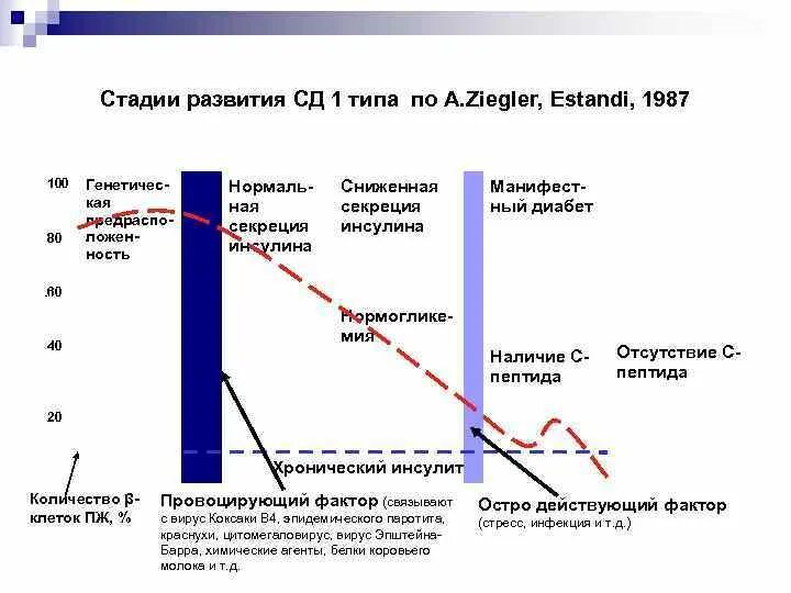 Сахарный диабет 1 типа тест. Стадии развития сахарного диабета. стадии развития сд 1 типа. степени сахарного диабета 1 типа. стадии развития сахарного диабета 2 типа.