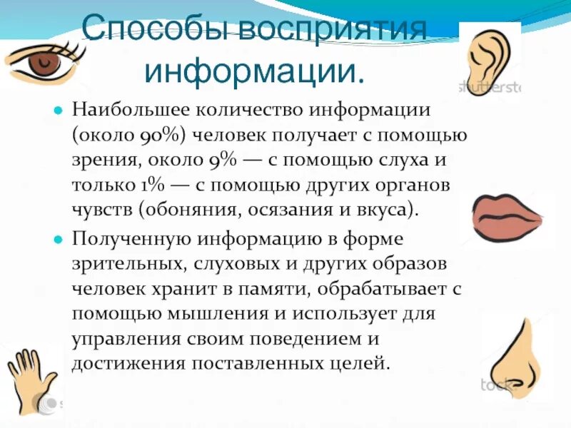 Информация в жизни человека способы восприятия информации