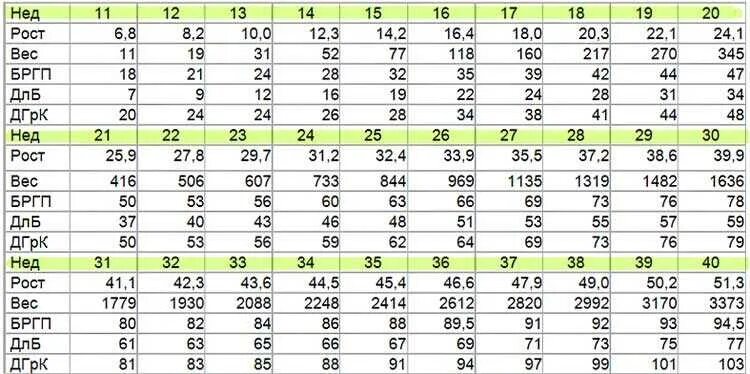 30 недель беременности сколько весит ребенок. Бипариетальный размер головы на 30 неделе беременности. Таблица размеров плода по УЗИ 3 триместра. Вес плода в 32 недели беременности норма. Бипариетальный размер головки плода норма.