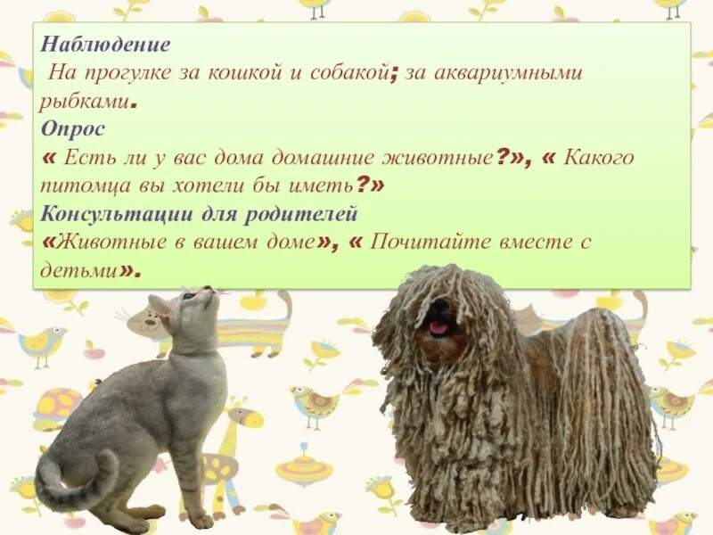 Какого питомца хочешь