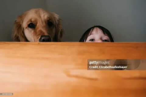 The dog is behind the table