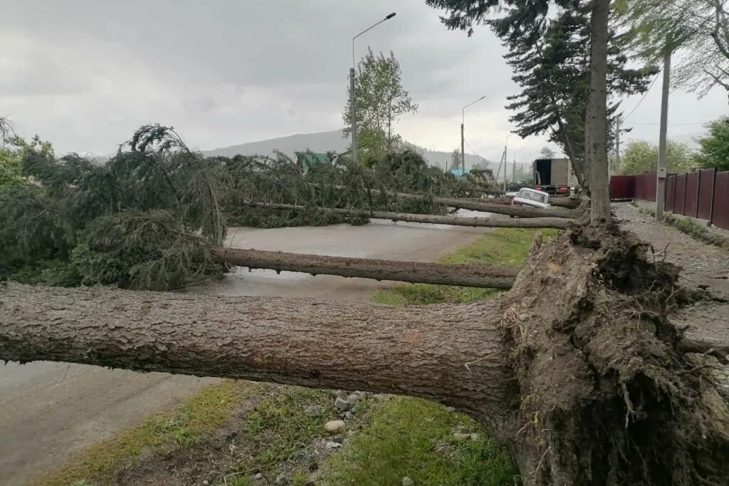 Ураган Алтайский край 2018. Горный Алтай ураган. Ураган в Горном Алтае. Ураган в Алтайском крае. Ураган в киргизии