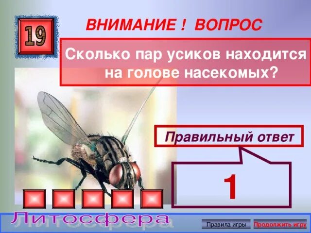Число пар усиков у насекомых. Усики у насекомых сколько. количество усиков у насекомых. количество пар усиков у насекомых. сколько усиков у насекои.