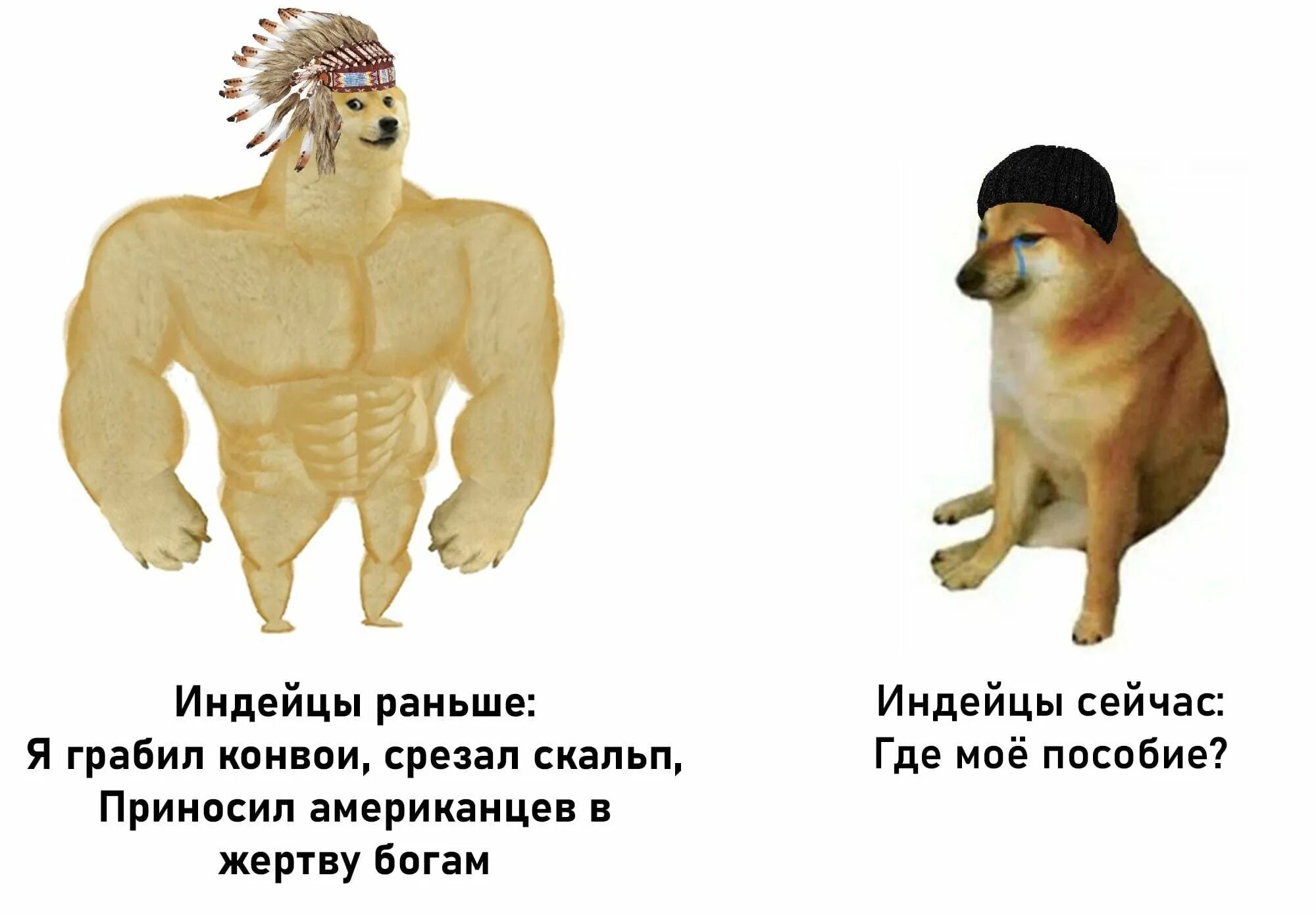 Сильная и слабая собака. Мем с двумя собаками. Мемы про двух собак. Собака Мем. Мем про собаку в древности.