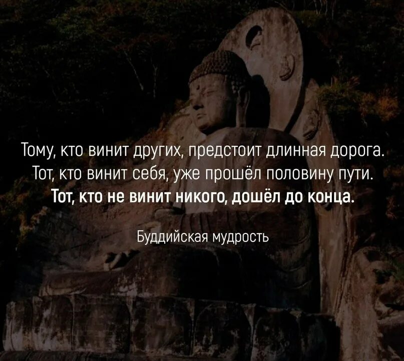 Винить самое себя. Слабый человек винит других. Человек винит себя. Человек винит всех вокруг кроме себя цитаты. Цитаты винишь себя.