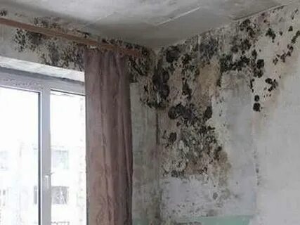 Влажность 1 этаж