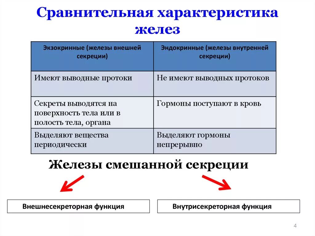 Железы внутренней секреции особенности строения. Характеристика желез внутренней и внешней секреции. Железы внутренней и внешней секреции строение и функции. Сравнительная характеристика желез внешней и внутренней секреции. Система желез внешней секреции.