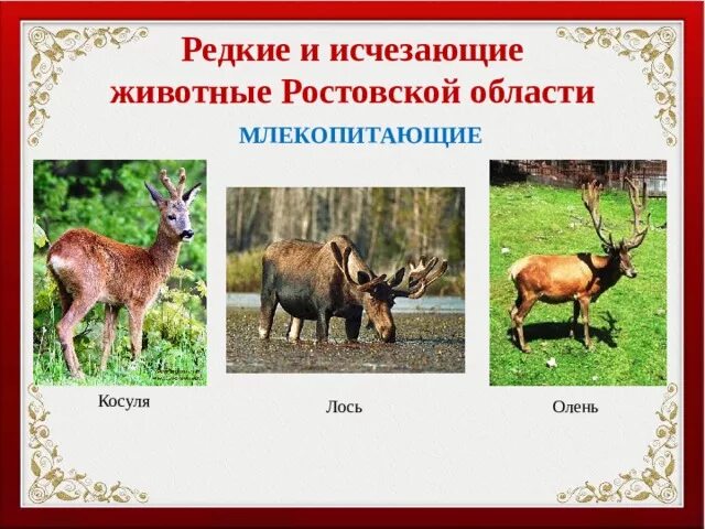 Официальный сайт ГБУСОН РО "ЦСПСД г. Донецка" - Краеведческая игра "Край любимый