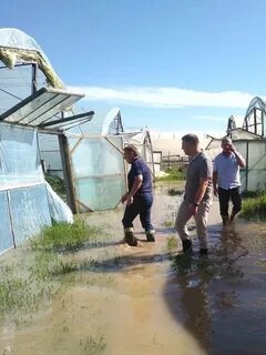 Погода в нижнегорском районе село садовое