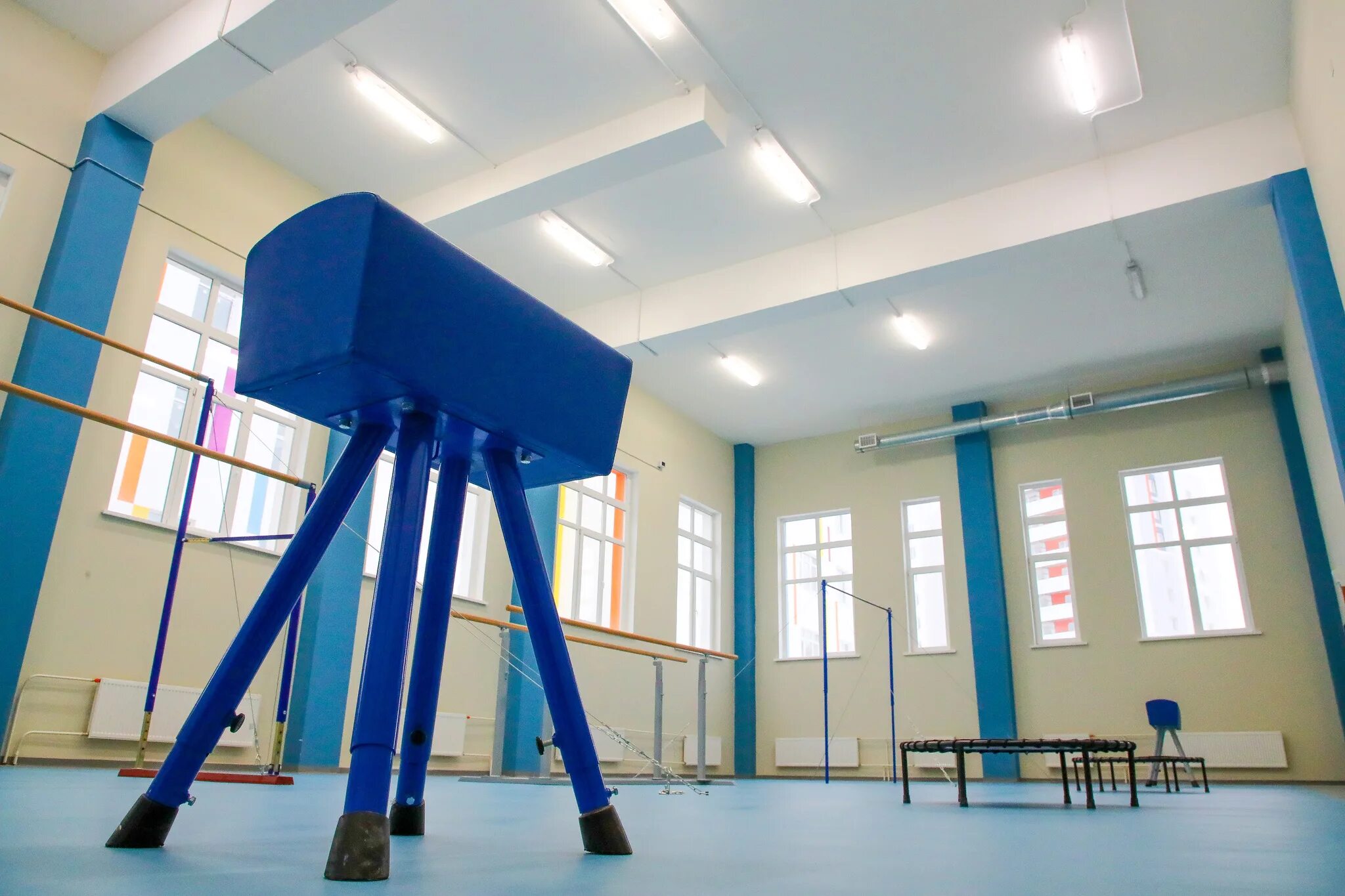 Школа 460 пушкинского района санкт-петербурга. Директор школы 460 ленсоветовский. Школа 460 шушары. Школа 460 санкт петербург. Школа 607 пушкинского района.