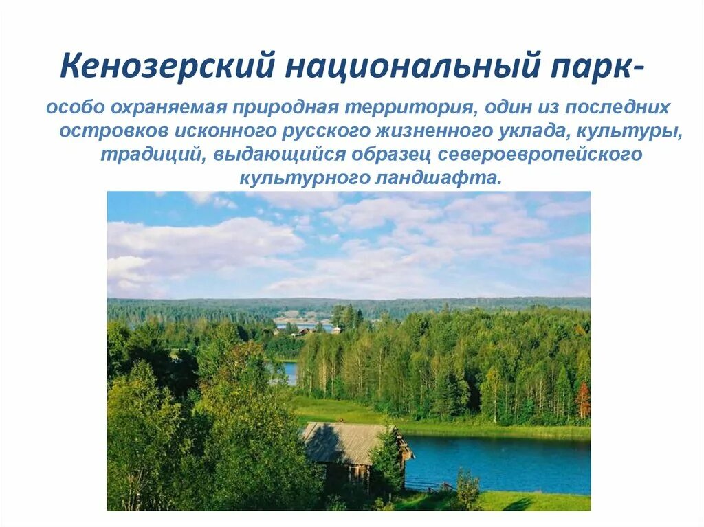 Особо охраняемой природной территории архангельской. Урочище куртяево северодвинск. Пинежский заповедник река пинега. Кенозерский национальный парк карта. Урочище куртяево северодвинск.