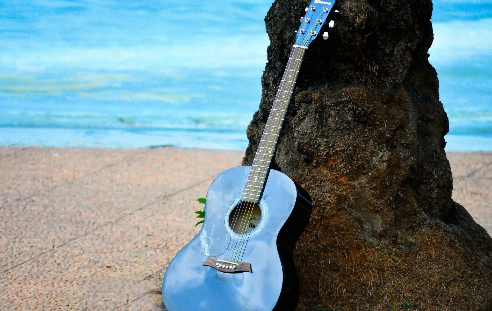 Гитара зонтик. Гитара. Синяя гитара. Красивые гитары. Голубая акустическая гитара.