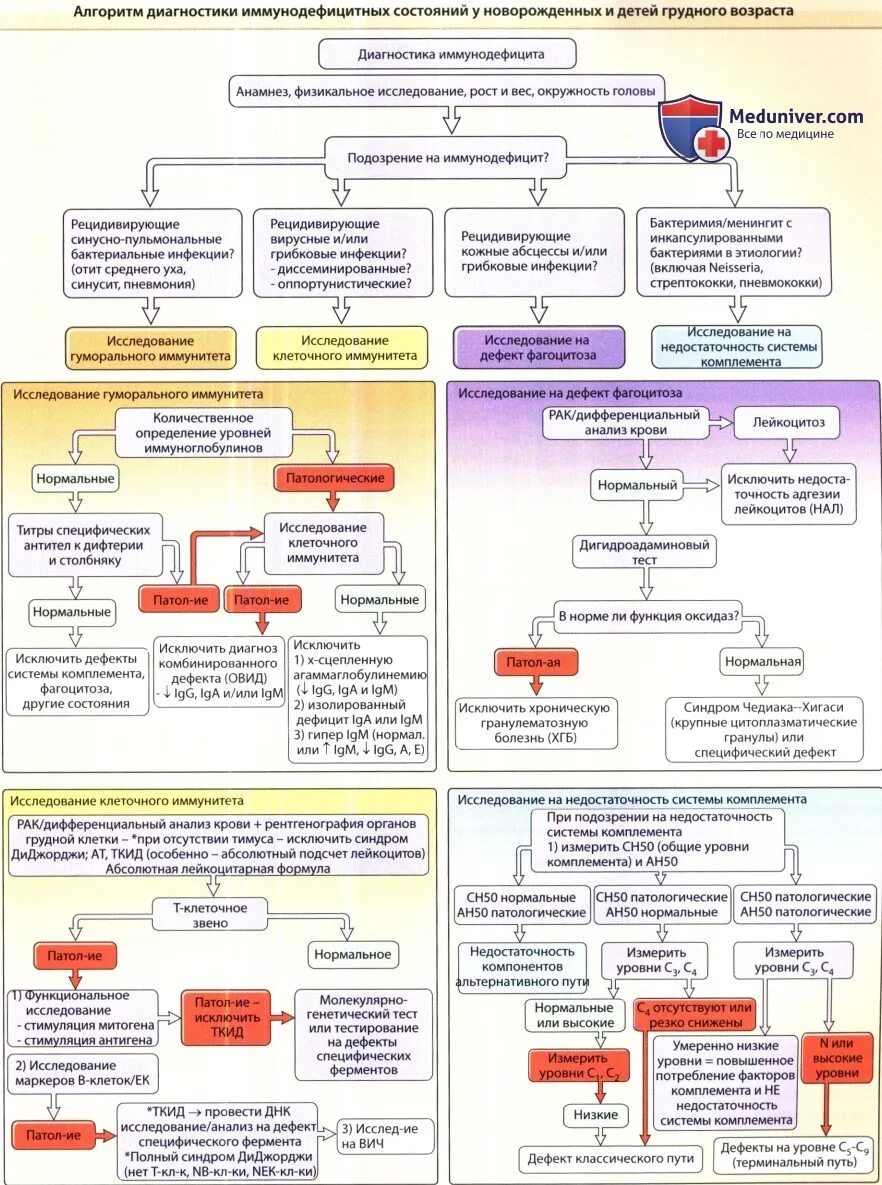 Алгоритм диагностики первичных иммунодефицитов. Алгоритм дифференциальной диагностики иммунодефицитов. Алгоритм диагностики внезапной смерти схема. Диагностика иммунодефицита алгоритм диагностика. Анализ на иммунодефицит