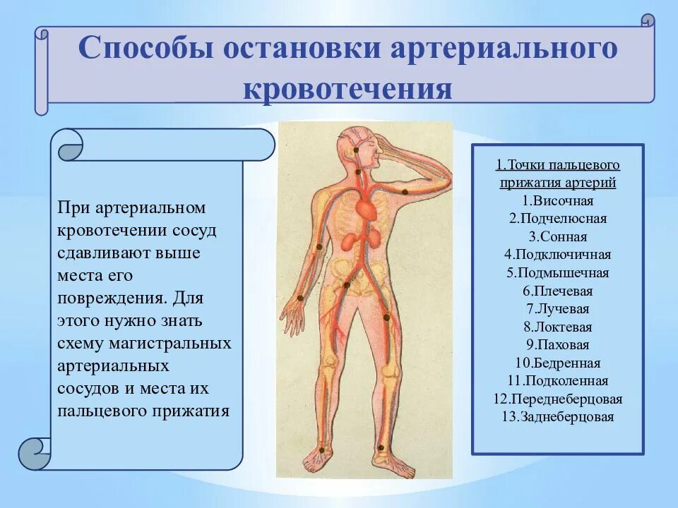 Артериальное кровотечение нижних конечностей. Этапы остановки артериального кровотечения. Артериальное кровотечение из сосудов. Артериальное кровотечение из сосудов верхних и нижних конечностей. Способы остановки артериального кровотечения.