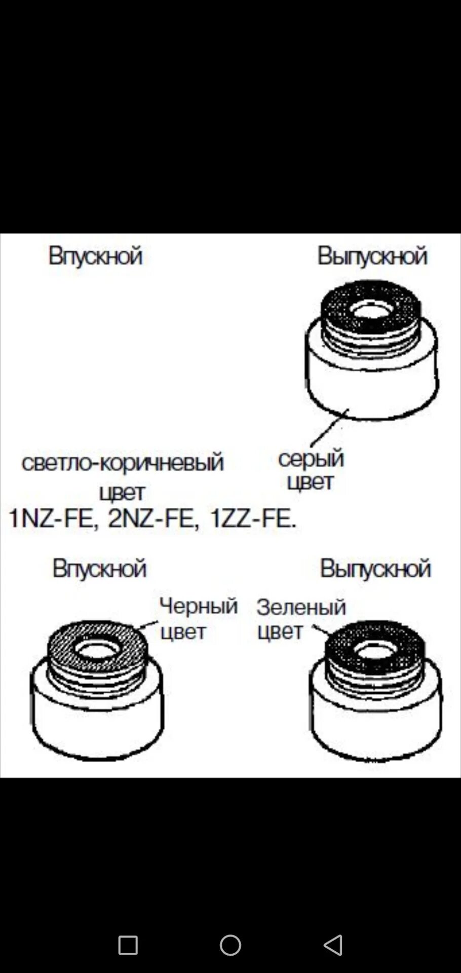 Каким цветом маслосъемные. Маслосъёмные колпачки на 3zz fe. маслосъемные колпачки тойота. колпачки маслосъемные elring toyota corolla. маслосъемные колпачки рав 4.