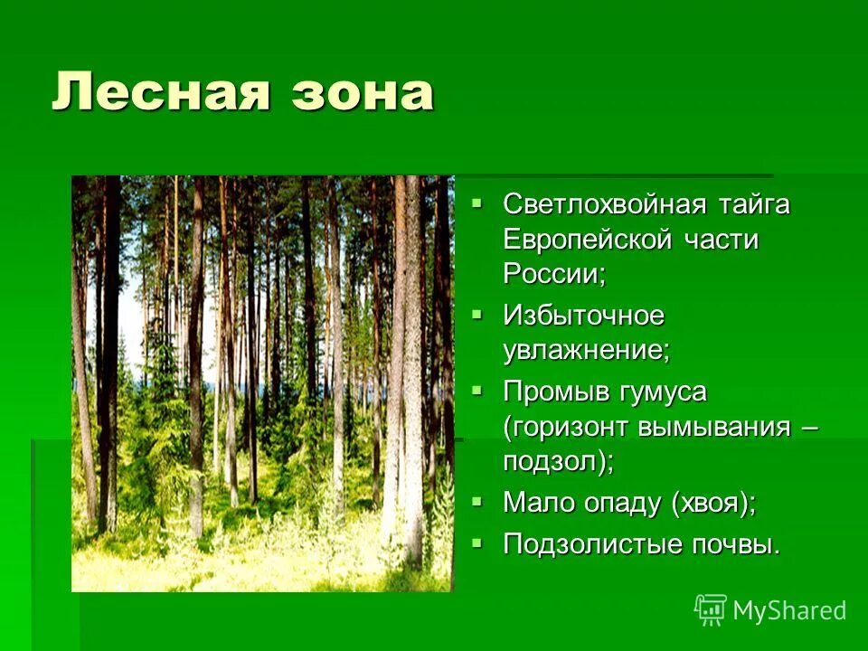 Дерново-подзолистые глеевые. Тайга тип почвы. Дерново-подзолистые почвы тайги. Таблица типы и свойства почв россии. Типы почв характерные для лесных зон.