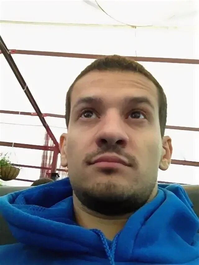 Виталии синица. Виталии синица