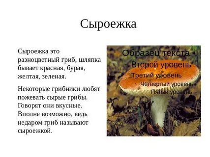 Текст сыроежка 3 класс