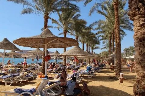 Египет шармаль шейх отзывы