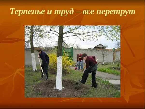 Выражение труд все перетрут. Терпение и труд всё перетрут. труд всё перетрут. терпееье и труд все перетрут. терпьенье и труд все перетрут.