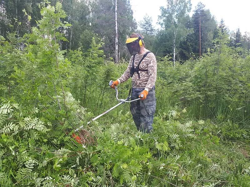 Очистка участка от деревьев. Расчистка участка от поросли. Уборка участка. Покос кустарников. Покос травы расчистка участка.