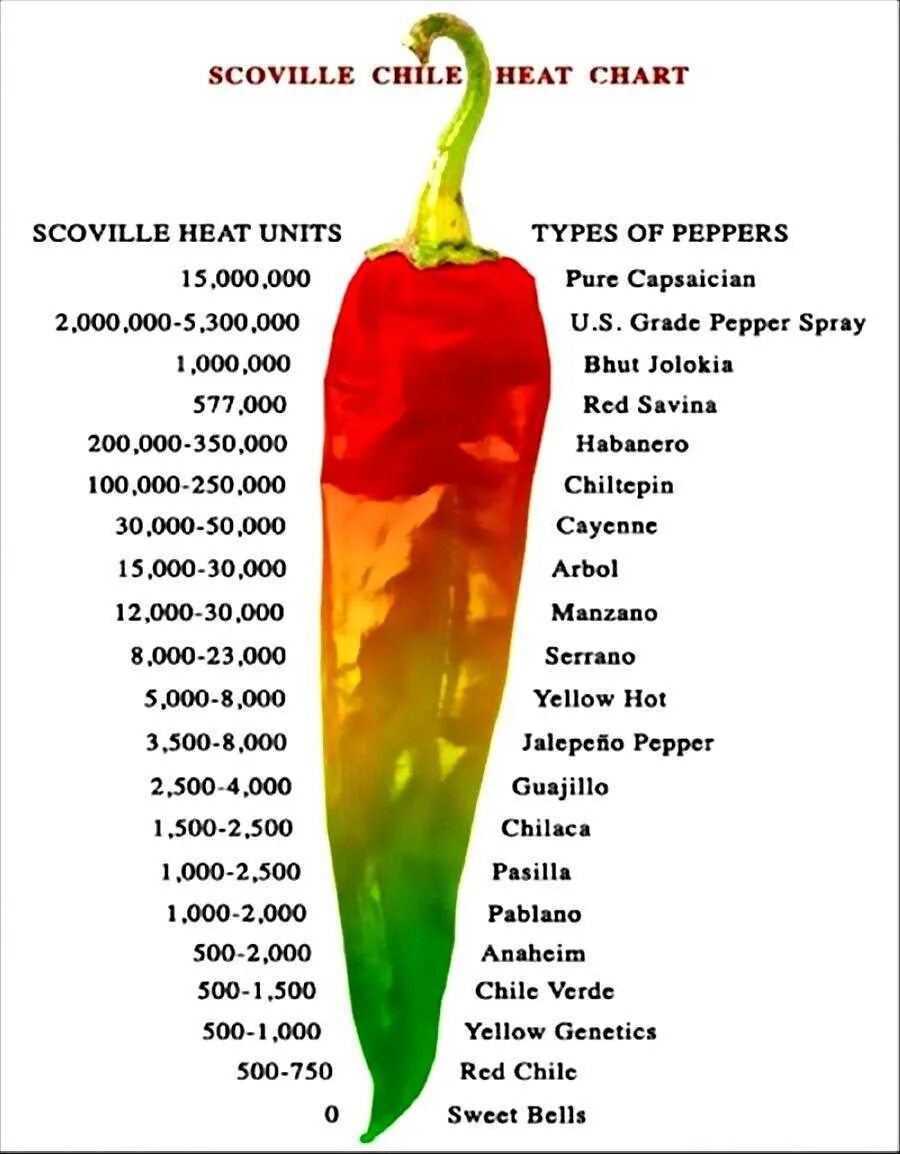 Халапеньо шкала Сковилла. Шкала Сковилла перец. Шкала Сковилла перец Чили. Перец Чили шкала скорбеля.