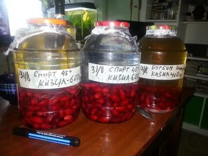 Настойка из кизила рецепт
