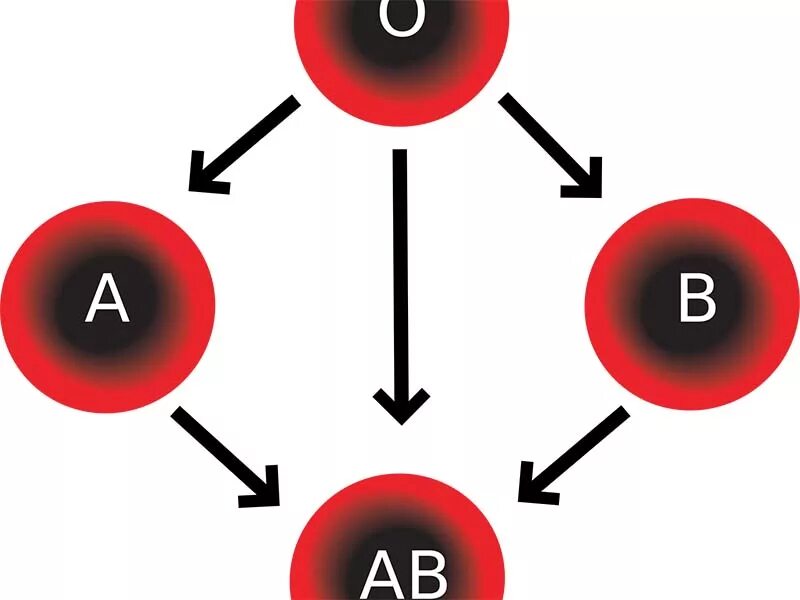 Группа крови. Группы крови рисунок. Кровь группы крови. Картинки группы крови человека. Группа крови том 5