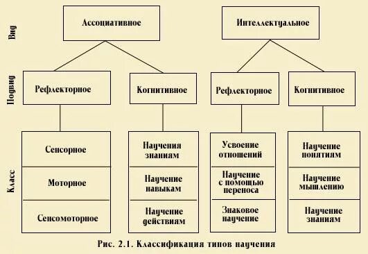 Особенности научения