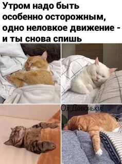 А когда уже будет утро