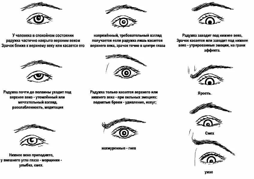 Значение правого глаза. Форма и расположение глаз. Физиогномика расположение глаз. Характер по форме глаз. Формы глаз у мужчин.