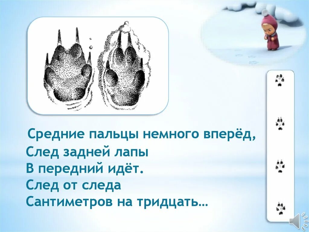 Следы зверей и птиц. Загадка про следы. Следы животных передние и задние. Следы животных для детей. Песня иду по следу