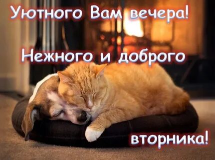 Добрый вечер вторника красивые