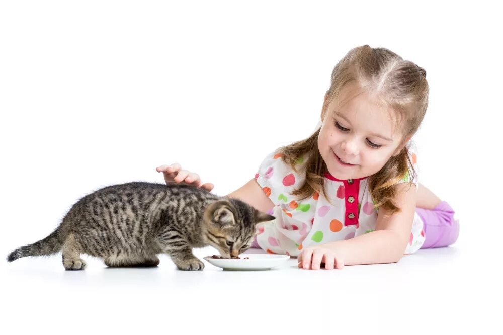 Забота о питомце. Дети кормят котят. Дети кормят котят. Дети с животными. Девочка с котенком на улице.