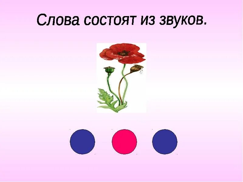 Текст состоит из трех. Слова состоят из звуков. слово состоит из. слова состоят из звуков и букв. из чего состоят слова для детей.