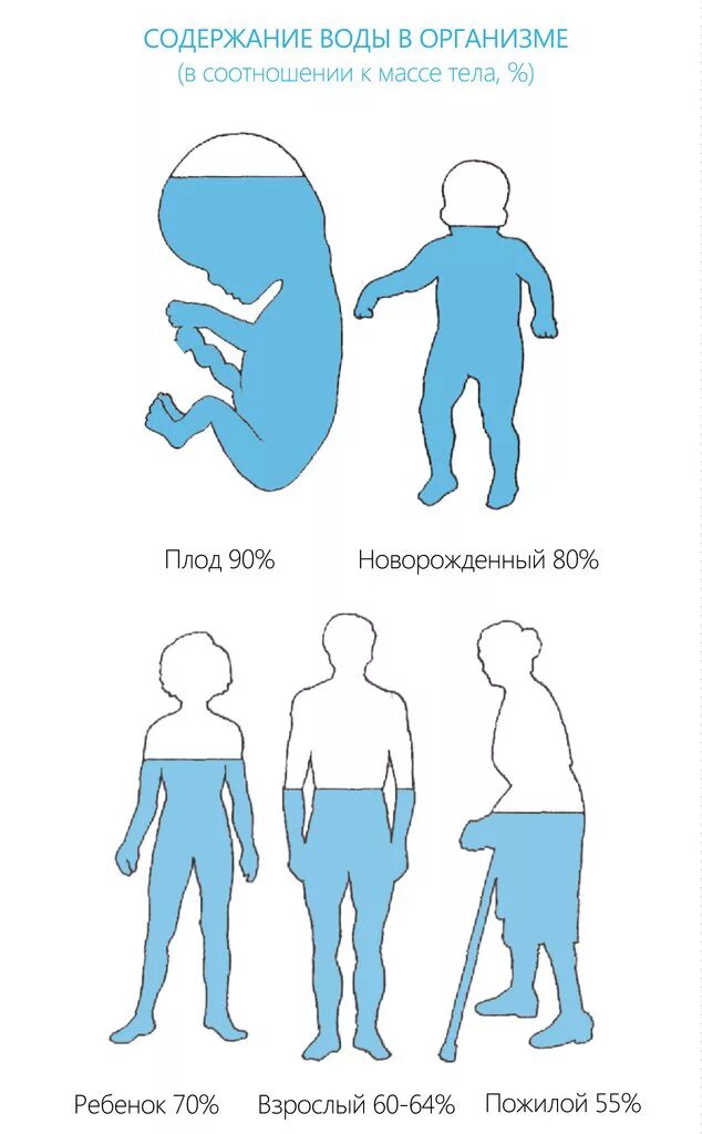 Содержимое не вода. Содержимое не вода. Содержимое не вода. Мягкая вода параметры. Содержимое не вода.