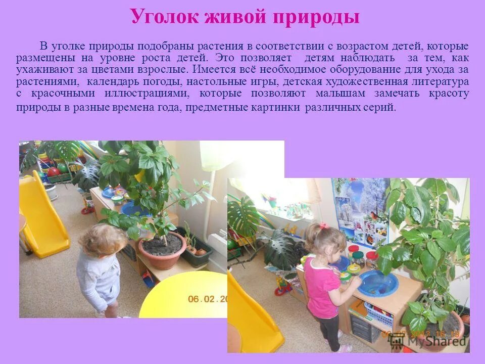 В живом уголке 4. Описание любимого уголка природы. Сочинение про живой уголок. Цветы для уголка природы раннего возраста. Уголок природы в ДОУ презентация.