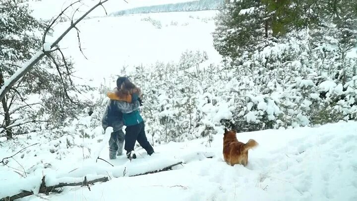 Песня а снег не знал и падал. Песня а снег не знал и падал. Снег кружится заметает зима. Снег кружится караоке. Песня снег слова.