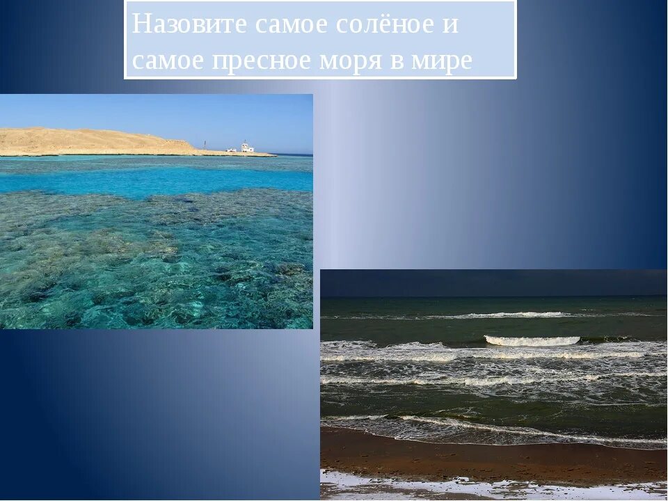 Соленое и пресное море. Самое несоленое море в мире. Самое пресное море. Балтийское море пресное.