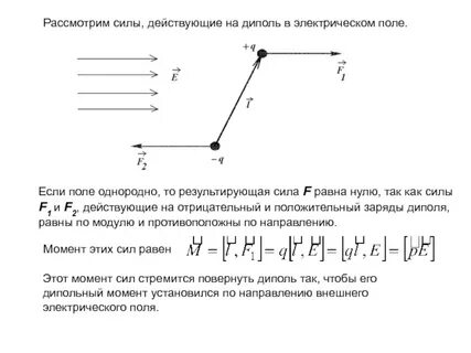 Сила рассматривать