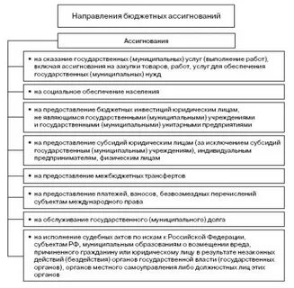 Государственные муниципальные ассигнования