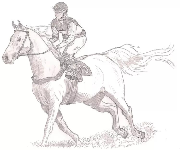 Раскраска лошадь с наездником. Наездник раскраска. Всадник раскраска. Всадник на лошади раскраска для детей.