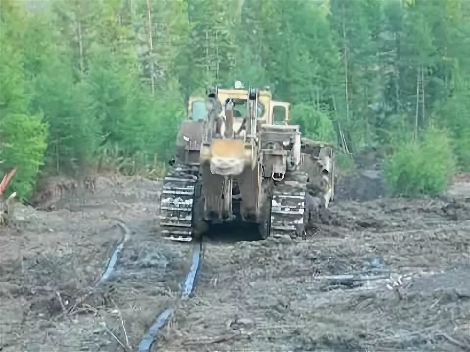 Артели видео. ЗАО Артель старателей Витим. Артель Витим в Бодайбо. ЗАО Артель старателей Витим, Бодайбо. Артель Витим золотодобыча.